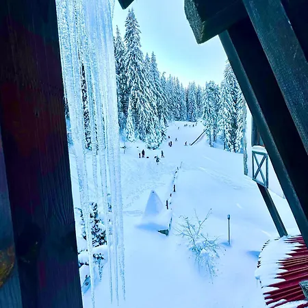 The Castle 1211 Pamporovo